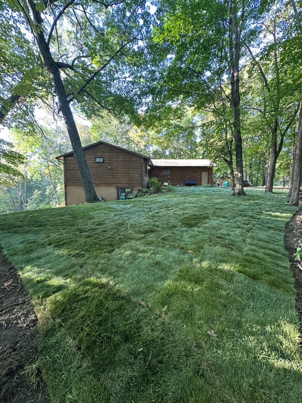 Creating Your Dream Lawn Oasis image