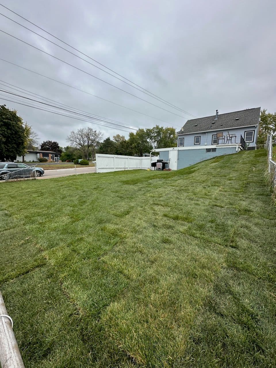 Lush Yard Transformation in the Neighborhood image