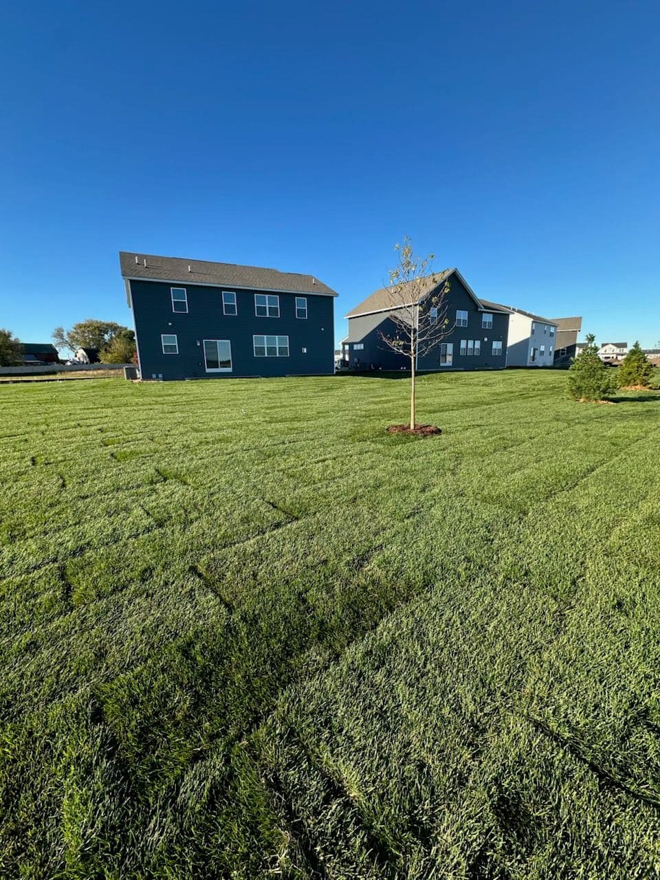 Fresh Sod Installation in Woodbury MN image