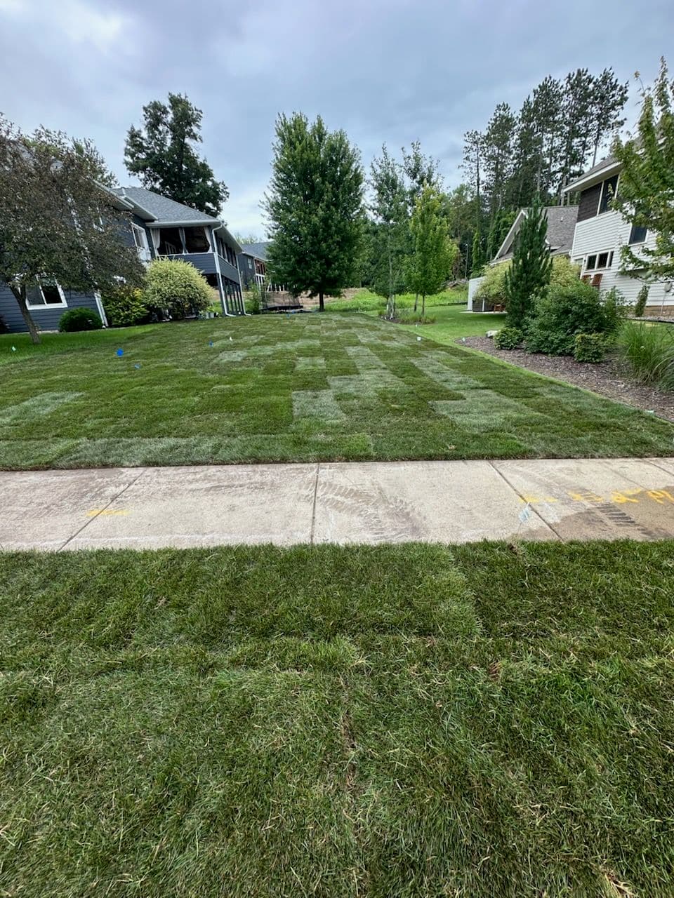 Lush Green Living in Red Wing image