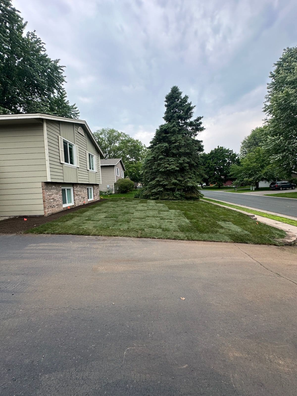 Project Front Yard Makeover with Fresh Sod and Landscaping image