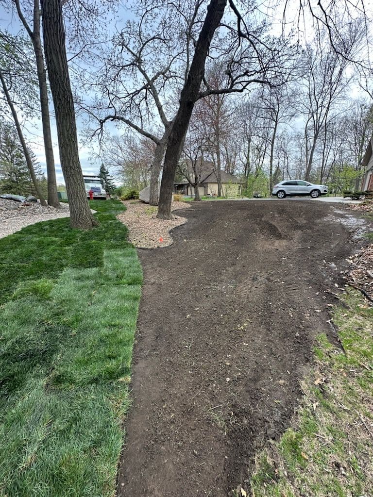 Project Yard Restoration with Fresh Sod vs Seeding image