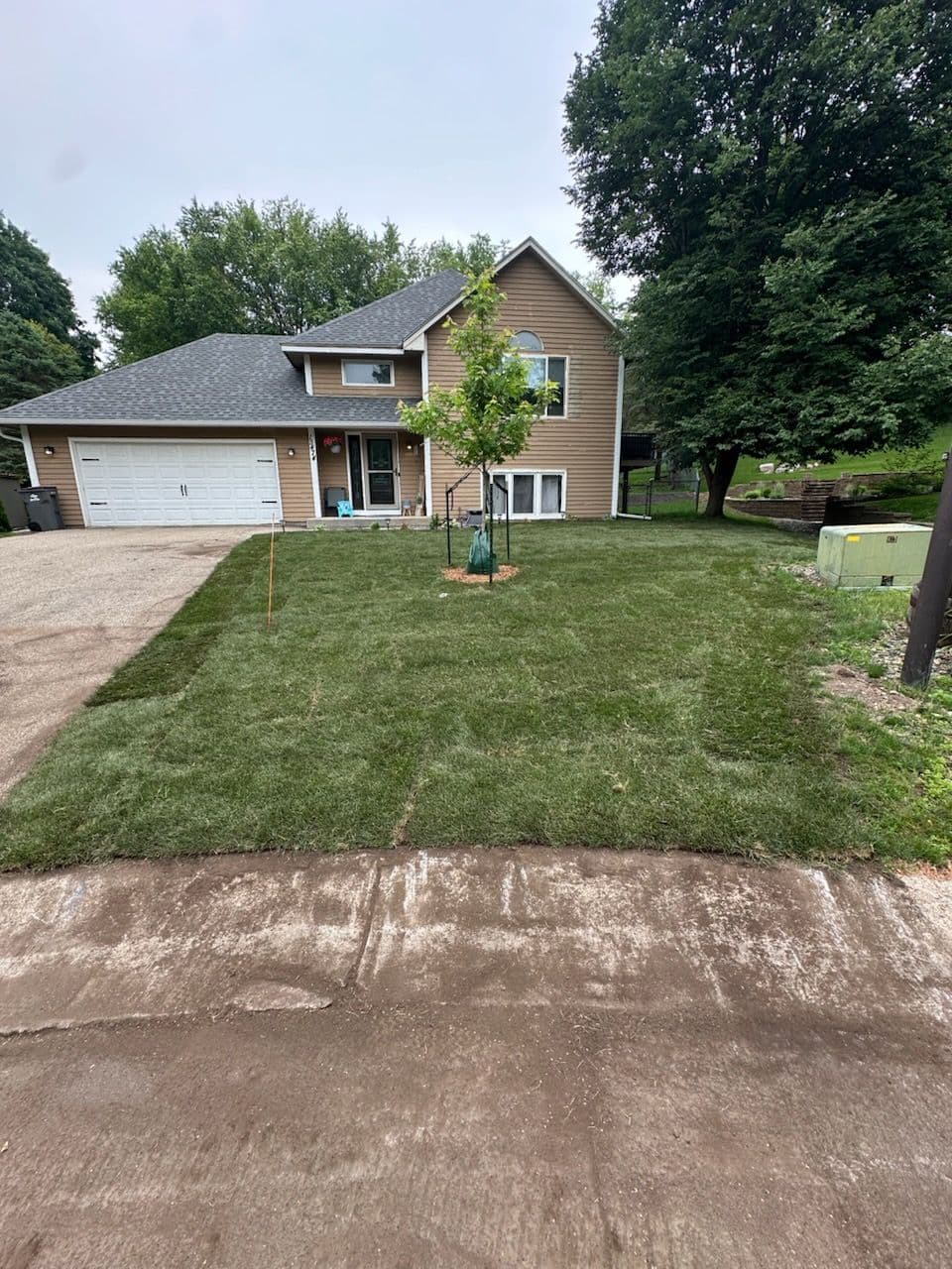 Stunning Yard Restoration in Eden Prairie image