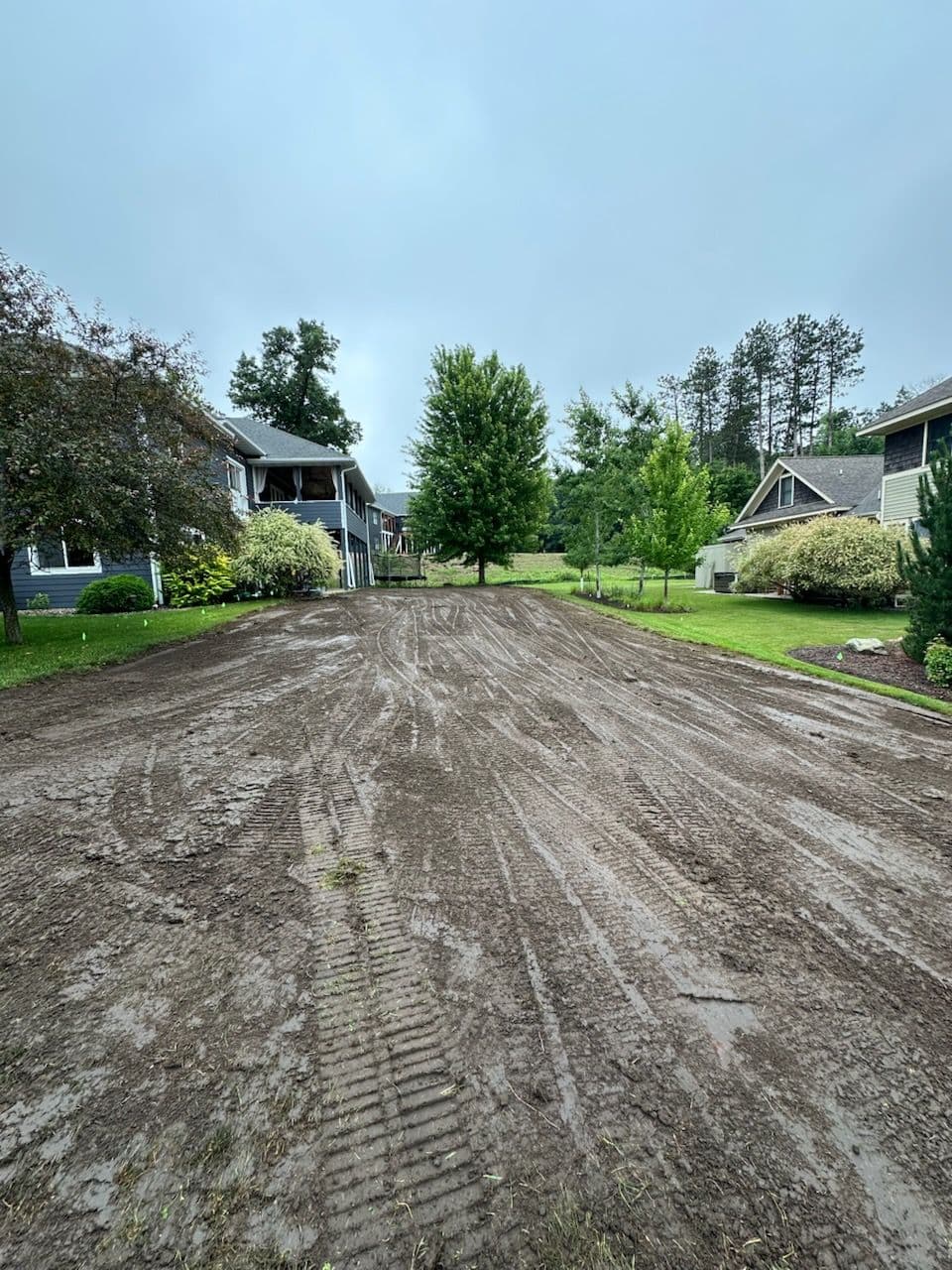 Exceptional Yard Restoration for Lush Sod image