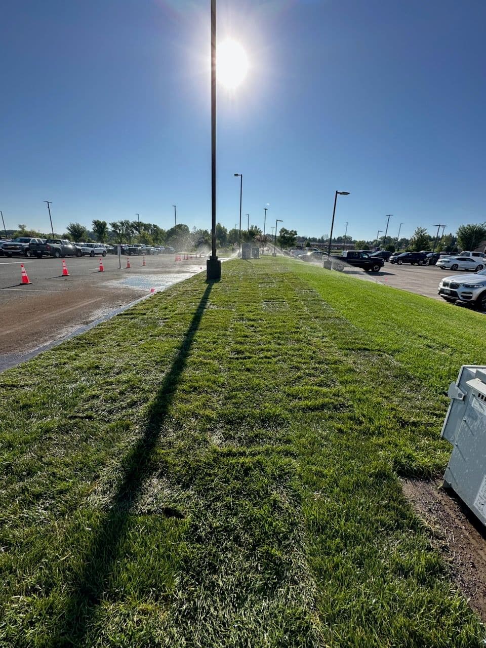 Transformative Yard Restoration at Mystic Lake Casino image