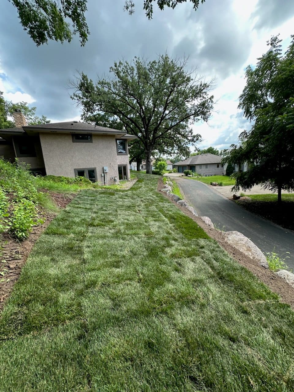 Transformative Yard Restoration with New Sod Lawn image