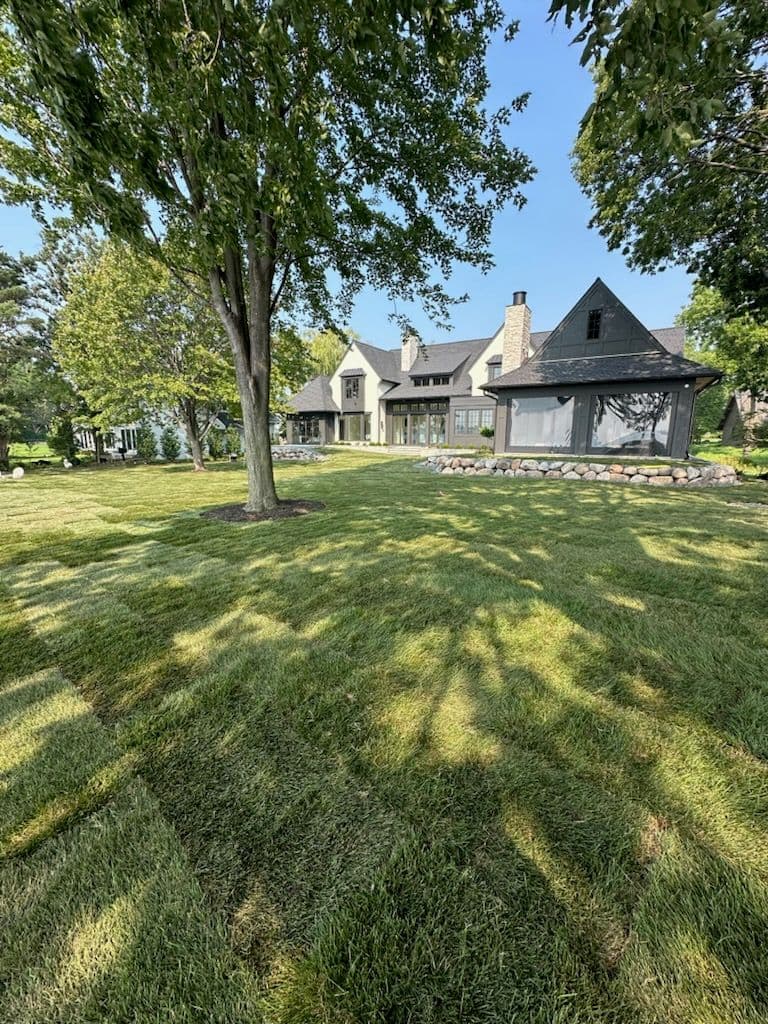 Lake Minnetonka Yard Transformation with Fresh Sod image