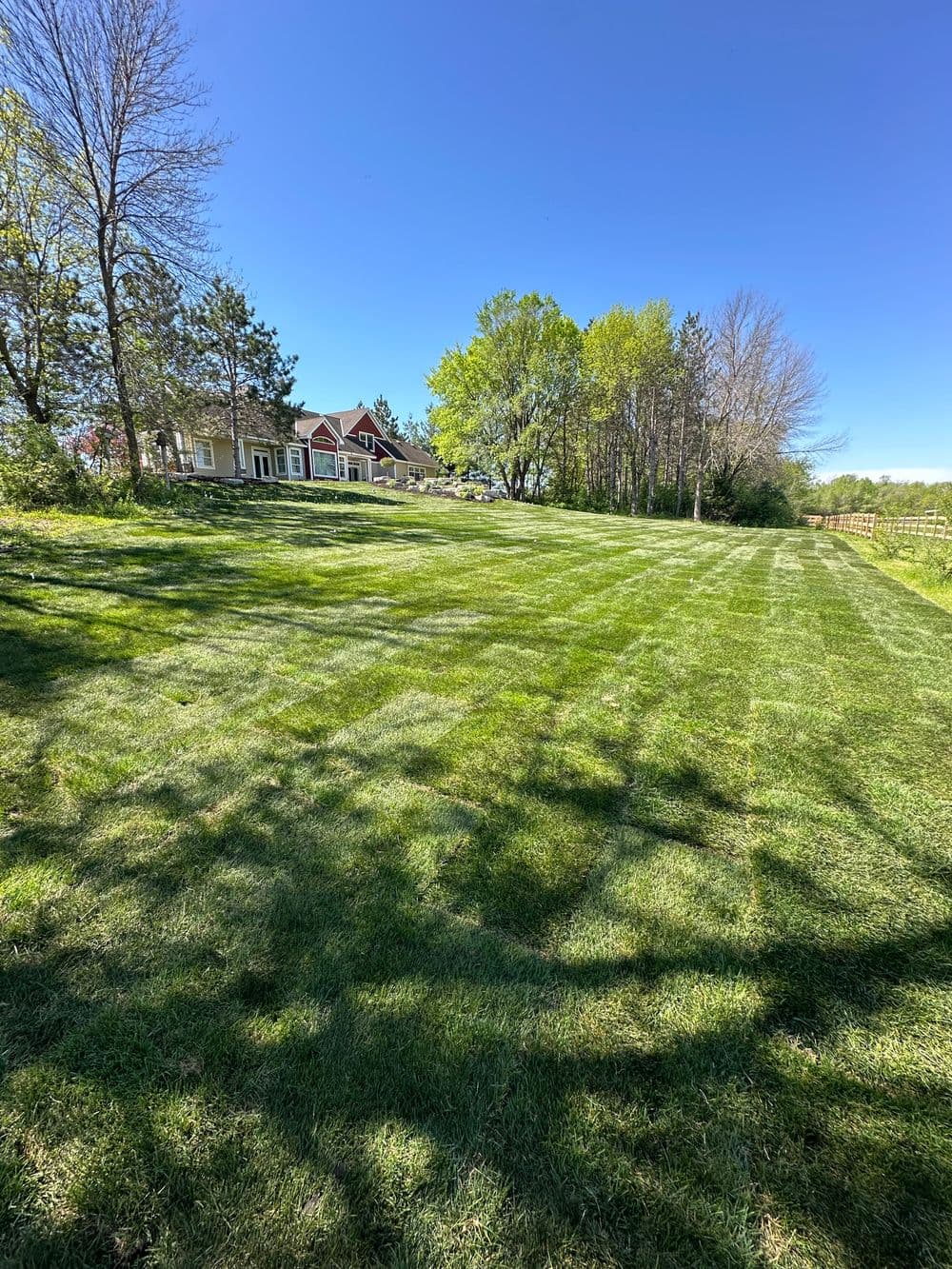 Lush green lawn with freshly mowed stripes, trees, and a house in the background under clear blue sky.